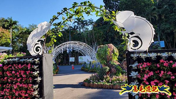 2025士林官邸菊展 (14).jpg