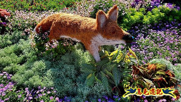 2025士林官邸菊展 (13).jpg