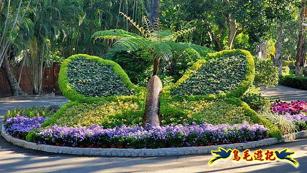 2025士林官邸菊展 (21).jpg