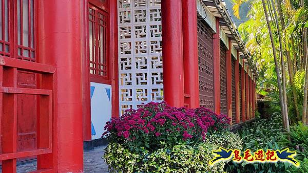 2025士林官邸菊展 (39).jpg