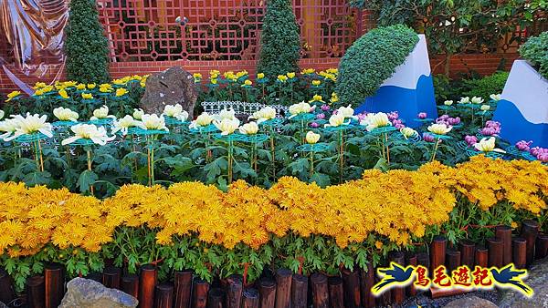 2025士林官邸菊展 (35).jpg