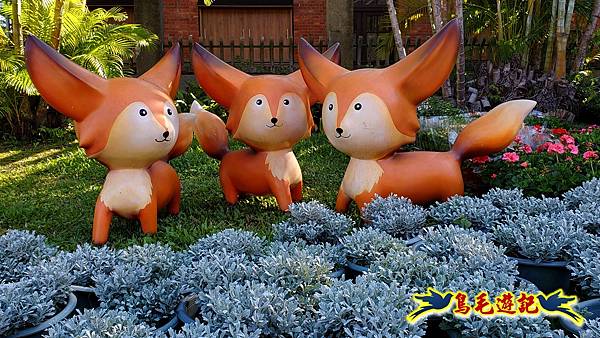 2025士林官邸菊展 (40).jpg