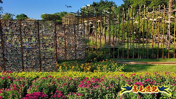 2025士林官邸菊展 (41).jpg