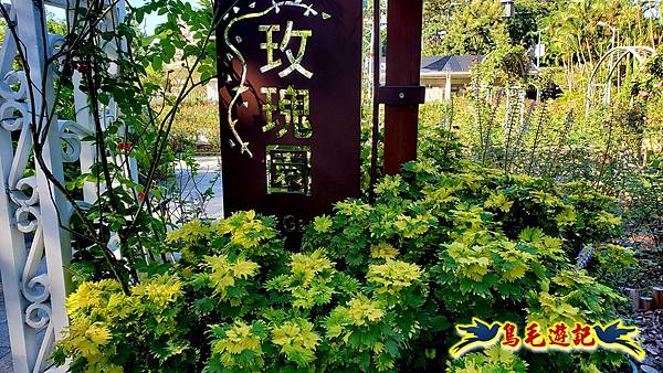 2025士林官邸菊展 (52).jpg