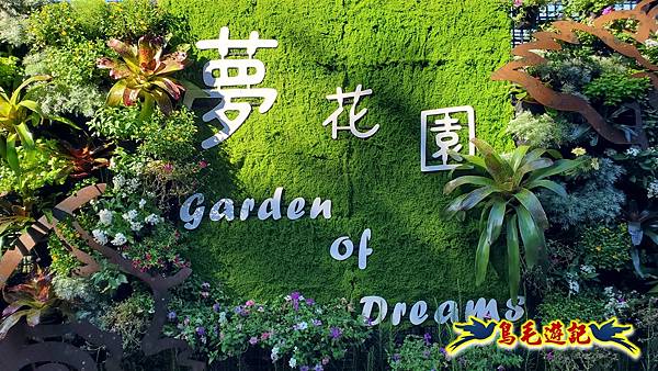 2025士林官邸菊展 (53).jpg