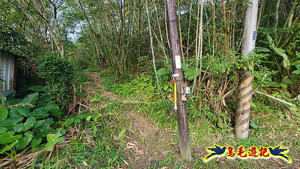 上林國小-東內平林山-上林山-平林山-灣穹O形 (7).jpg