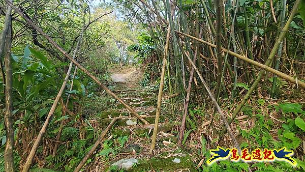 上林國小-東內平林山-上林山-平林山-灣穹O形 (9).jpg