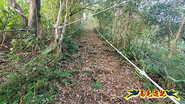 上林國小-東內平林山-上林山-平林山-灣穹O形 (13).jpg