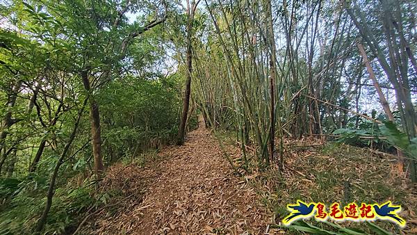 上林國小-東內平林山-上林山-平林山-灣穹O形 (12).jpg