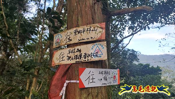 上林國小-東內平林山-上林山-平林山-灣穹O形 (21).jpg