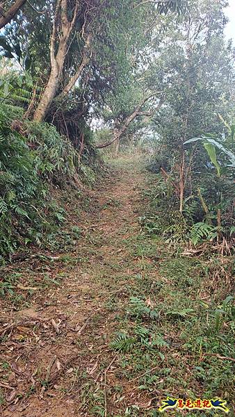 上林國小-東內平林山-上林山-平林山-灣穹O形 (20).jpg