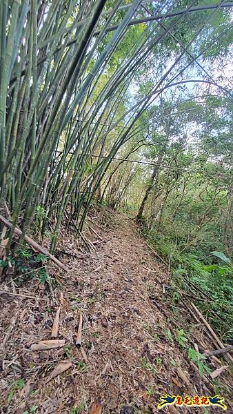 上林國小-東內平林山-上林山-平林山-灣穹O形 (19).jpg