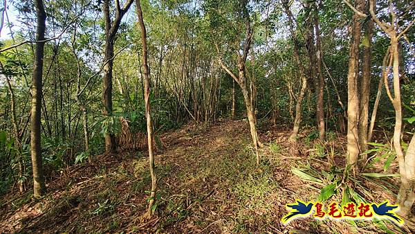 上林國小-東內平林山-上林山-平林山-灣穹O形 (22).jpg