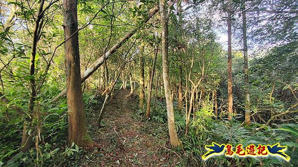 上林國小-東內平林山-上林山-平林山-灣穹O形 (24).jpg