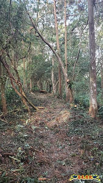 上林國小-東內平林山-上林山-平林山-灣穹O形 (26).jpg