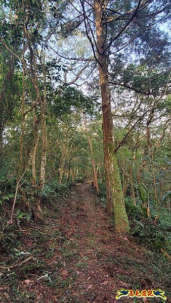 上林國小-東內平林山-上林山-平林山-灣穹O形 (25).jpg