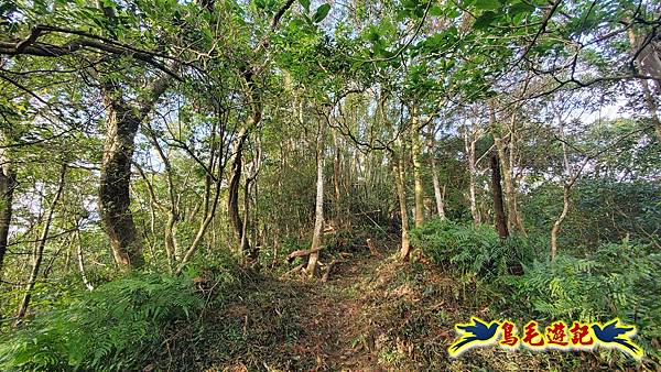 上林國小-東內平林山-上林山-平林山-灣穹O形 (29).jpg