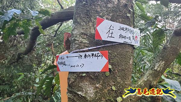 上林國小-東內平林山-上林山-平林山-灣穹O形 (28).jpg