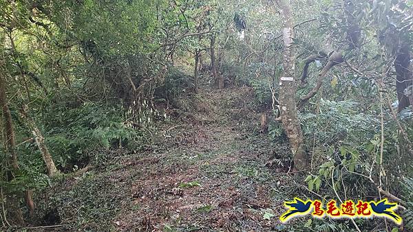 上林國小-東內平林山-上林山-平林山-灣穹O形 (27).jpg