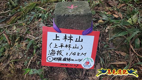 上林國小-東內平林山-上林山-平林山-灣穹O形 (32).jpg