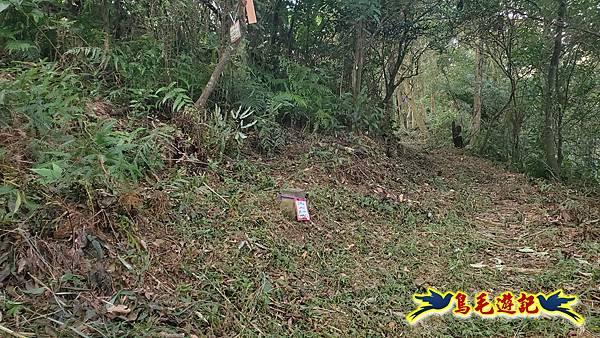 上林國小-東內平林山-上林山-平林山-灣穹O形 (31).jpg