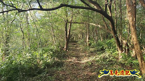 上林國小-東內平林山-上林山-平林山-灣穹O形 (35).jpg