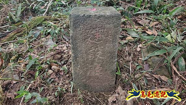 上林國小-東內平林山-上林山-平林山-灣穹O形 (34).jpg