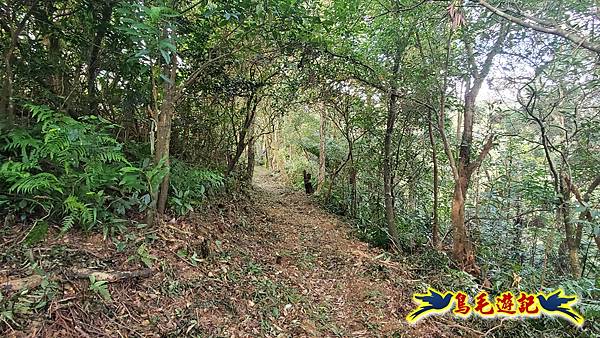 上林國小-東內平林山-上林山-平林山-灣穹O形 (33).jpg
