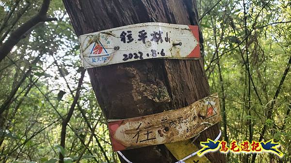 上林國小-東內平林山-上林山-平林山-灣穹O形 (37).jpg