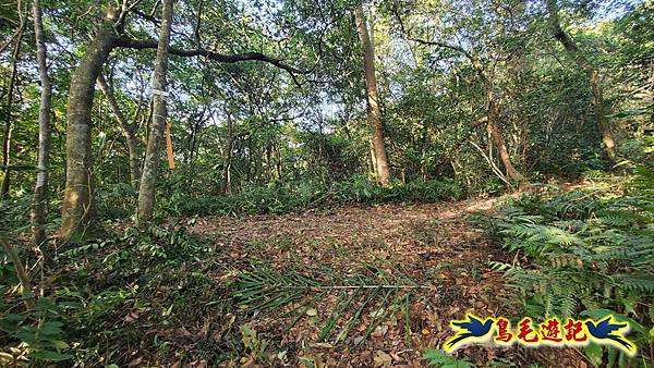 上林國小-東內平林山-上林山-平林山-灣穹O形 (39).jpg