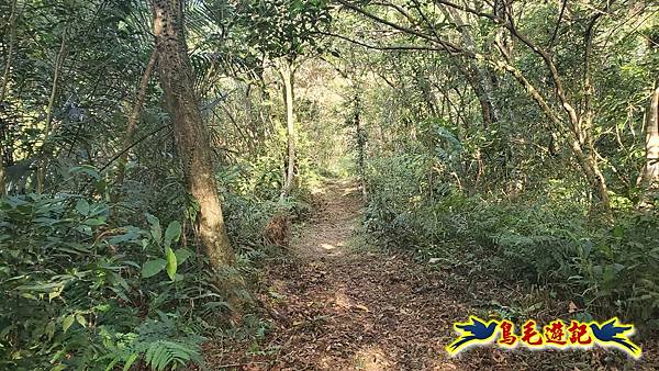 上林國小-東內平林山-上林山-平林山-灣穹O形 (42).jpg