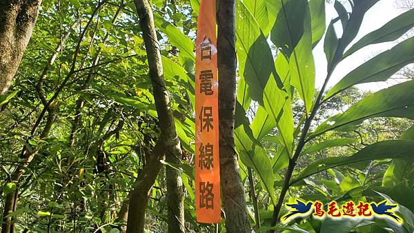 上林國小-東內平林山-上林山-平林山-灣穹O形 (38).jpg