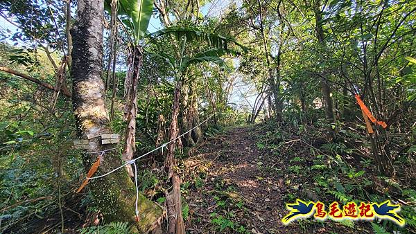 上林國小-東內平林山-上林山-平林山-灣穹O形 (43).jpg