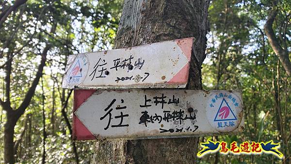 上林國小-東內平林山-上林山-平林山-灣穹O形 (41).jpg