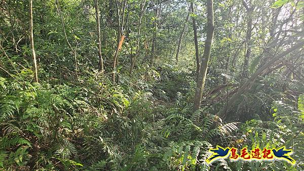 上林國小-東內平林山-上林山-平林山-灣穹O形 (47).jpg