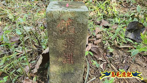 上林國小-東內平林山-上林山-平林山-灣穹O形 (45).jpg