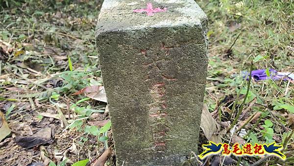 上林國小-東內平林山-上林山-平林山-灣穹O形 (46).jpg