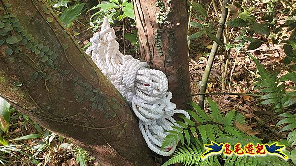 上林國小-東內平林山-上林山-平林山-灣穹O形 (50).jpg