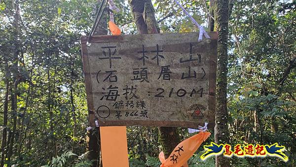 上林國小-東內平林山-上林山-平林山-灣穹O形 (48).jpg