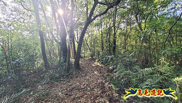 上林國小-東內平林山-上林山-平林山-灣穹O形 (49).jpg