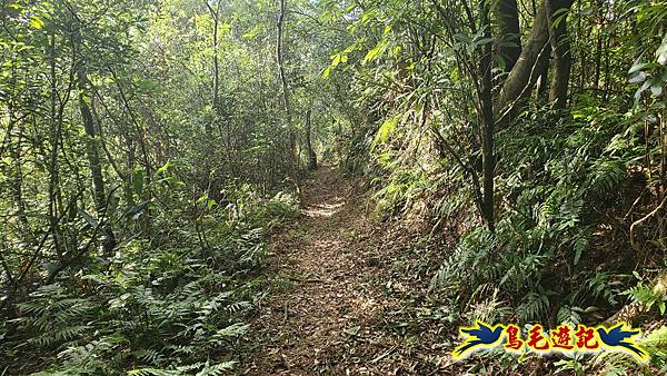 上林國小-東內平林山-上林山-平林山-灣穹O形 (51).jpg