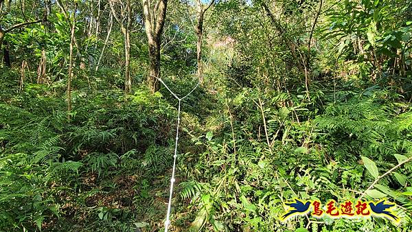 上林國小-東內平林山-上林山-平林山-灣穹O形 (52).jpg