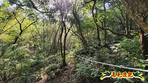 上林國小-東內平林山-上林山-平林山-灣穹O形 (53).jpg