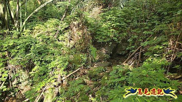 上林國小-東內平林山-上林山-平林山-灣穹O形 (54).jpg