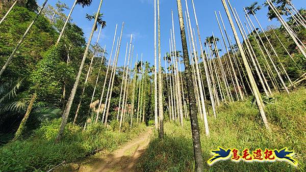 上林國小-東內平林山-上林山-平林山-灣穹O形 (55).jpg