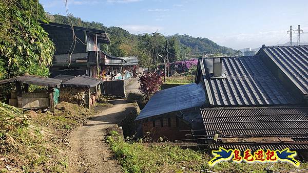 上林國小-東內平林山-上林山-平林山-灣穹O形 (58).jpg