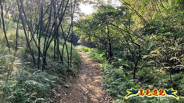 上林國小-東內平林山-上林山-平林山-灣穹O形 (57).jpg