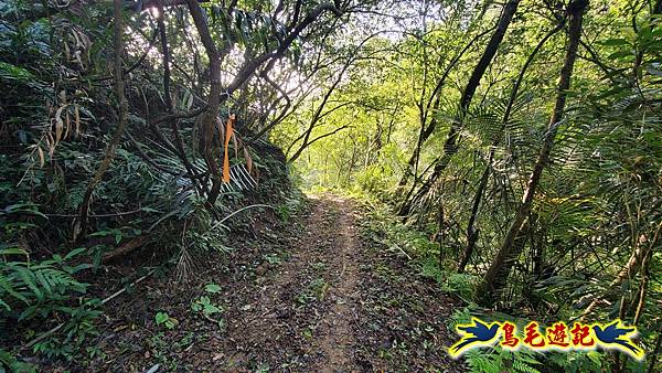 上林國小-東內平林山-上林山-平林山-灣穹O形 (56).jpg