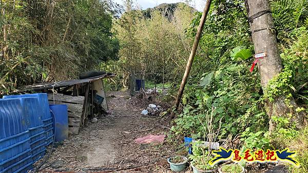 龍洞坑古道苦苓嶺南雅山出海園古道O形 (4).jpg