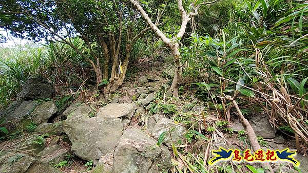 龍洞坑古道苦苓嶺南雅山出海園古道O形 (11).jpg